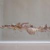 Photo for Experts in Building and Pest Inspections Adelaide