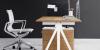 Photo for Global Contemporary Height-adjustable Desk Market Manufacturers Sales Analysis Report 2019-2024