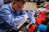 Photo for Gene Expression Analysis Market Size, Share, Growth, Trends and Industry Analysis Report