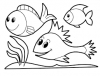 Photo for Coloring pages to print