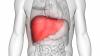 Photo for Liver Transplant Doctor in Noida - Credihealth