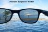 Photo for Polarized Sunglasses Market | Global Market Size, Share, Supply, Demand, Segments and Forecast 2023