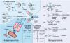 Photo for antibody structure