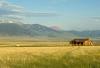 Photo for American Ag Finance