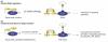 Photo for Chromium Catalysts