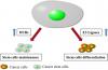 Photo for Cobalt Catalysts
