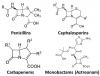 Photo for Europium Catalysts