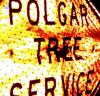 Photo for Polgar Tree Service & Removal LLC