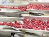 Photo for Vegan Flavors Market Likely to Emerge over a Period of 2019-2029
