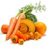 Photo for Global Beta-Carotene Market Manufacturers Sales Analysis Report 2019-2024