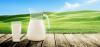 Photo for Global Cow Milk Infant Formula Market 2019 | Manufacturers, Regions, Type And Application, Forecast To 2024
