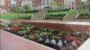 Photo for Charlottesville Hardscaping