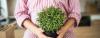 Photo for Cómo transportar plantas en una mudanza