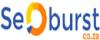 Photo for SEO Burst