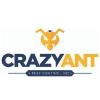 Photo for Crazy Ant Pest Control