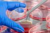 Photo for Global Tissue Engineering Market Manufacturers Sales Analysis Report 2019-2024