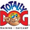 Photo for Totally Dog Day Camp