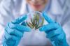 Photo for Flu Vaccines Market Gain Impetus due to the Growing Demand over 2019-2029