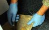 Photo for Commercial And Residential Asbestos Testing In Colorado Springs
