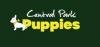 Photo for Central Park Puppies