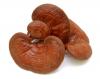 Photo for Reishi Buddha Blend (Spores and Extract) 70 Grams