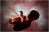 Photo for Stem Cell Banking Market  Development Industry 2019 Featuring