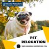 Photo for Pet Relocation