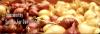 Photo for Kings Dehydrated Foods Pvt.Ltd.