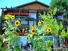 Photo for 3BR Cabin Vacation Rental By Owner in Adirondacks, New York