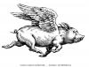 Photo for Galerie Flying Pig - Kevin Cooklin