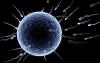 Photo for IVF Centre in Delhi