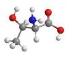 Photo for Threonine Market 2019: Industry Growth, Trends and Research Report, To 2025