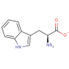 Photo for Tryptophan Market 2019: Industry Growth, Trends and Research Report, To 2025