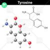 Photo for Tyrosine Market 2019: Industry Growth, Trends and Research Report, To 2025