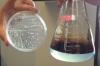 Photo for Microbial Biosurfactants Market Report From 2018 To 2025 Analysis By Top Company Profiles – Ecover, MG Intobio Co Ltd., Saraya Co Ltd., Soliance, AGAE Technologies, LLC