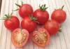 Photo for Global Tomato Seeds Market Manufacturers Sales Analysis Report 2019-2024