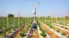 Photo for Training Data for AI in Agriculture