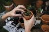 Photo for Biofertilizers Market Size, Share, Growth, Trend Analysis and Industry Research Report, 2012 to 2022
