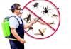 Photo for PestPure Solutions | Rodent | Insect | Wasp | Ant | Pest Control Dublin