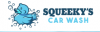 Photo for Squeeky's Car Wash