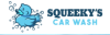 Photo for Squeeky's Car Wash