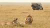 Photo for kenya tanzania safari