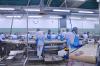 Photo for Global Seafood Processing Equipment Market Size, Share, Growth, Trends and Industry Analysis Report, 2019 to 2025