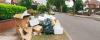 Photo for Hire For Best Rubbish Removal Company