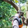 Photo for Roanoke Tree Trimming