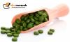 Photo for Why has Spirulina been recognized as the superfood?