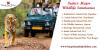 Photo for Book Your Amazing India Wildlife Tours