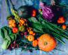 Photo for Thanksgiving Food and Fund Drive