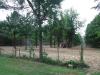 Photo for Brush Clearing Services Plus LLC