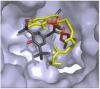 Photo for Inorganic Nanomaterials